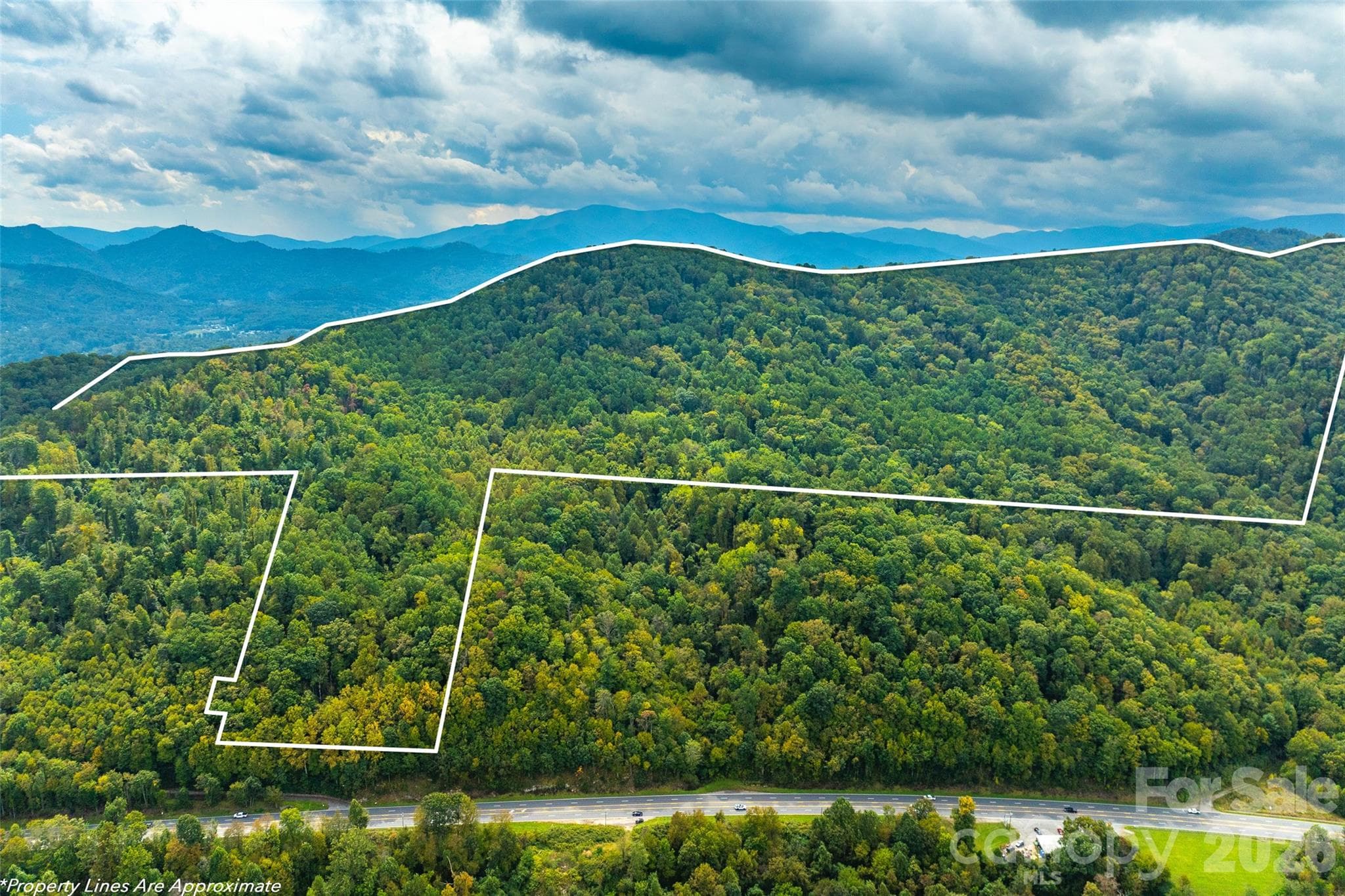 virgin land, never been. built on. access to Canton Highway in front of fruit stand - 99999 Carolina Boulevard, Canton