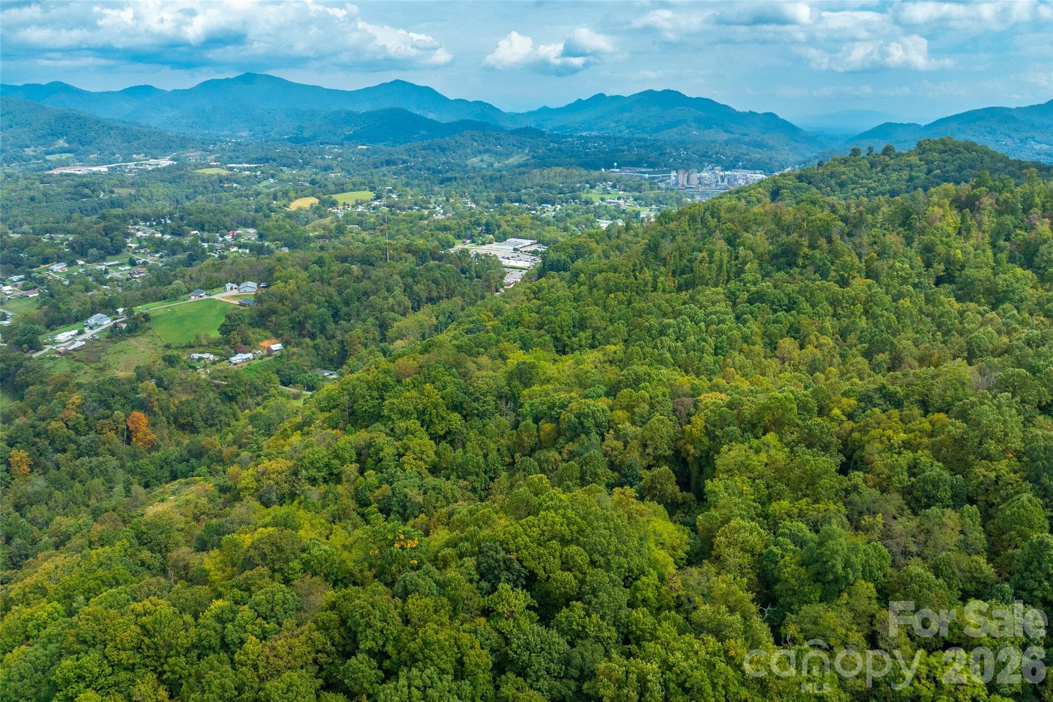 view of downtown Canton! - 99999 Carolina Boulevard, Canton