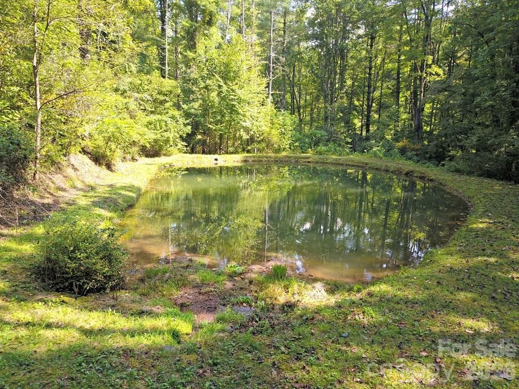 private pond - Sylva
