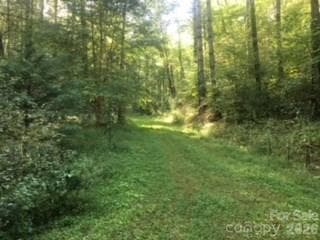 Lot at Sylva, photo 13 of 26