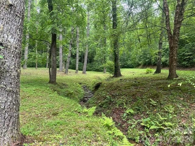Lot at Sylva, photo 19 of 26