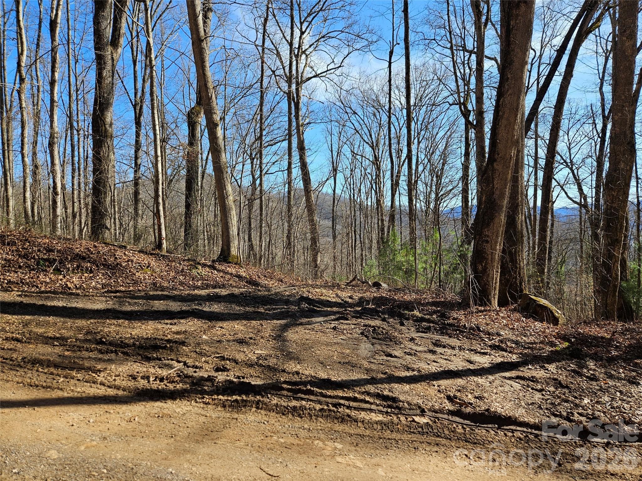 262 Si Knob Road