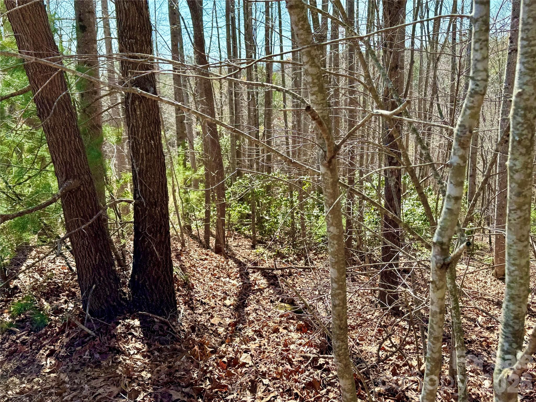 Lot at Lenoir, photo 3 of 38