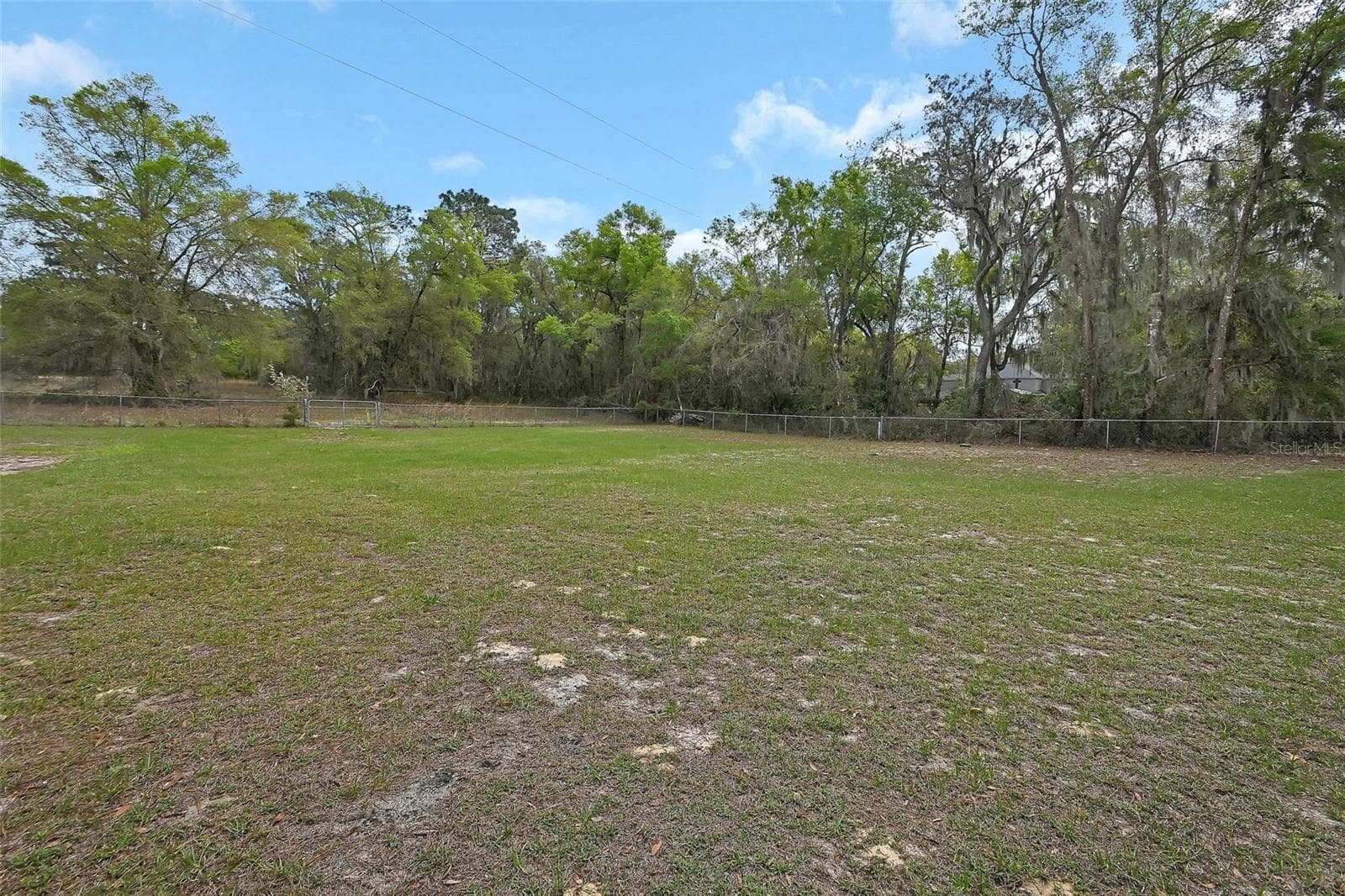 back open area of land - 4611 GRAND AVE, DE LEON SPRINGS