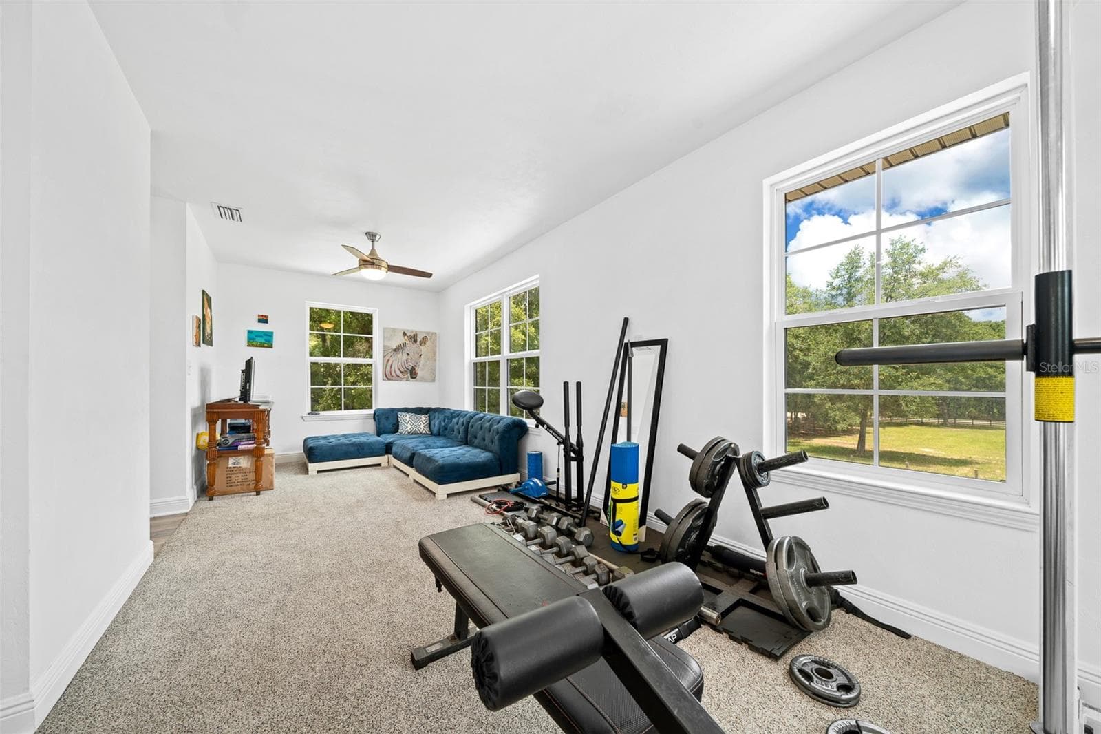 Bounus room - 13576 NW COUNTY ROAD 235, ALACHUA