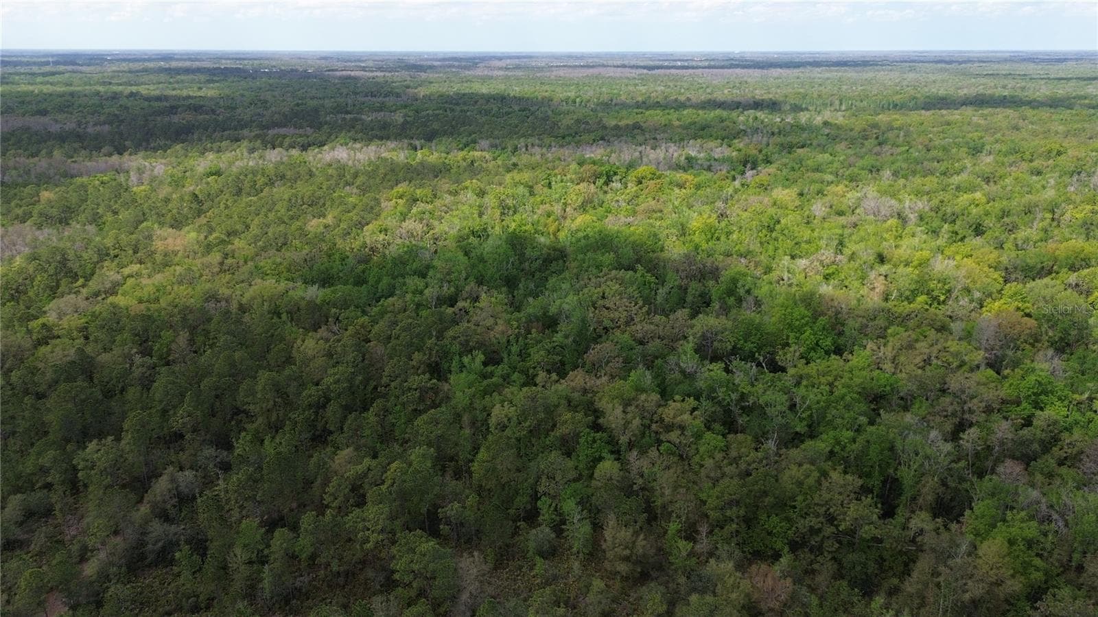 Land at UNASSIGNED, WESLEY CHAPEL, photo 11 of 28
