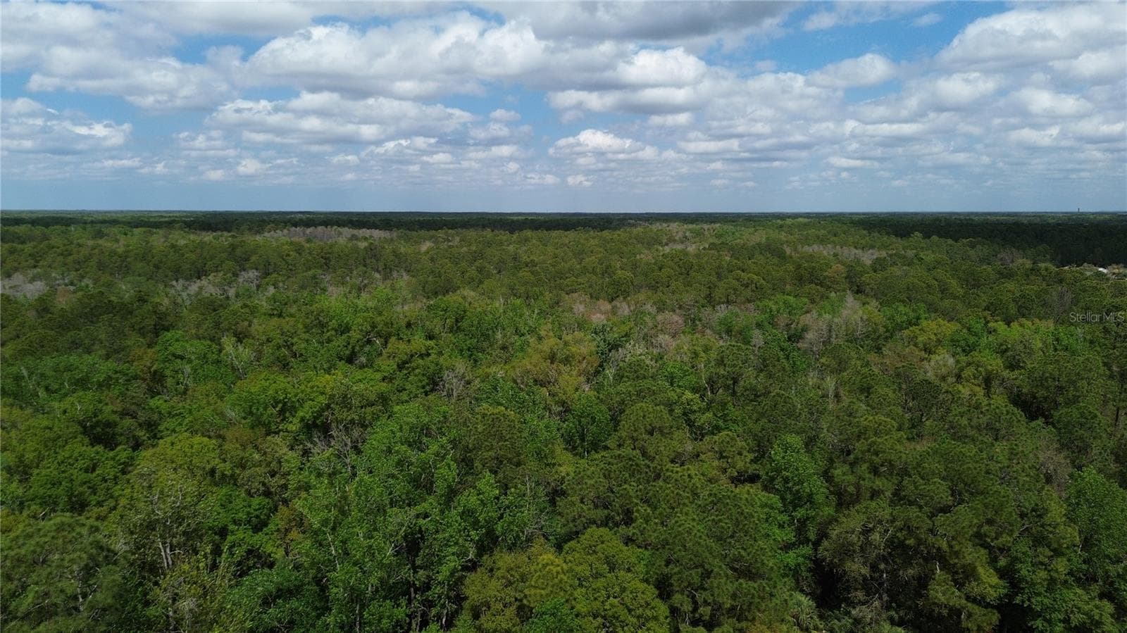 Land at UNASSIGNED, WESLEY CHAPEL, photo 18 of 28