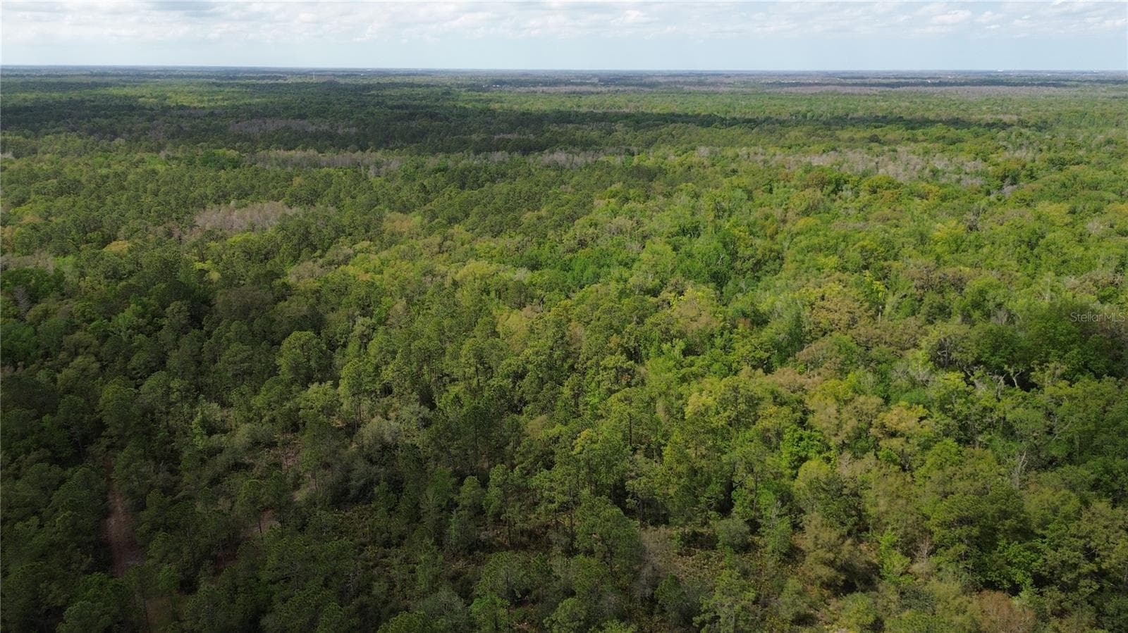 Land at UNASSIGNED, WESLEY CHAPEL, photo 8 of 28