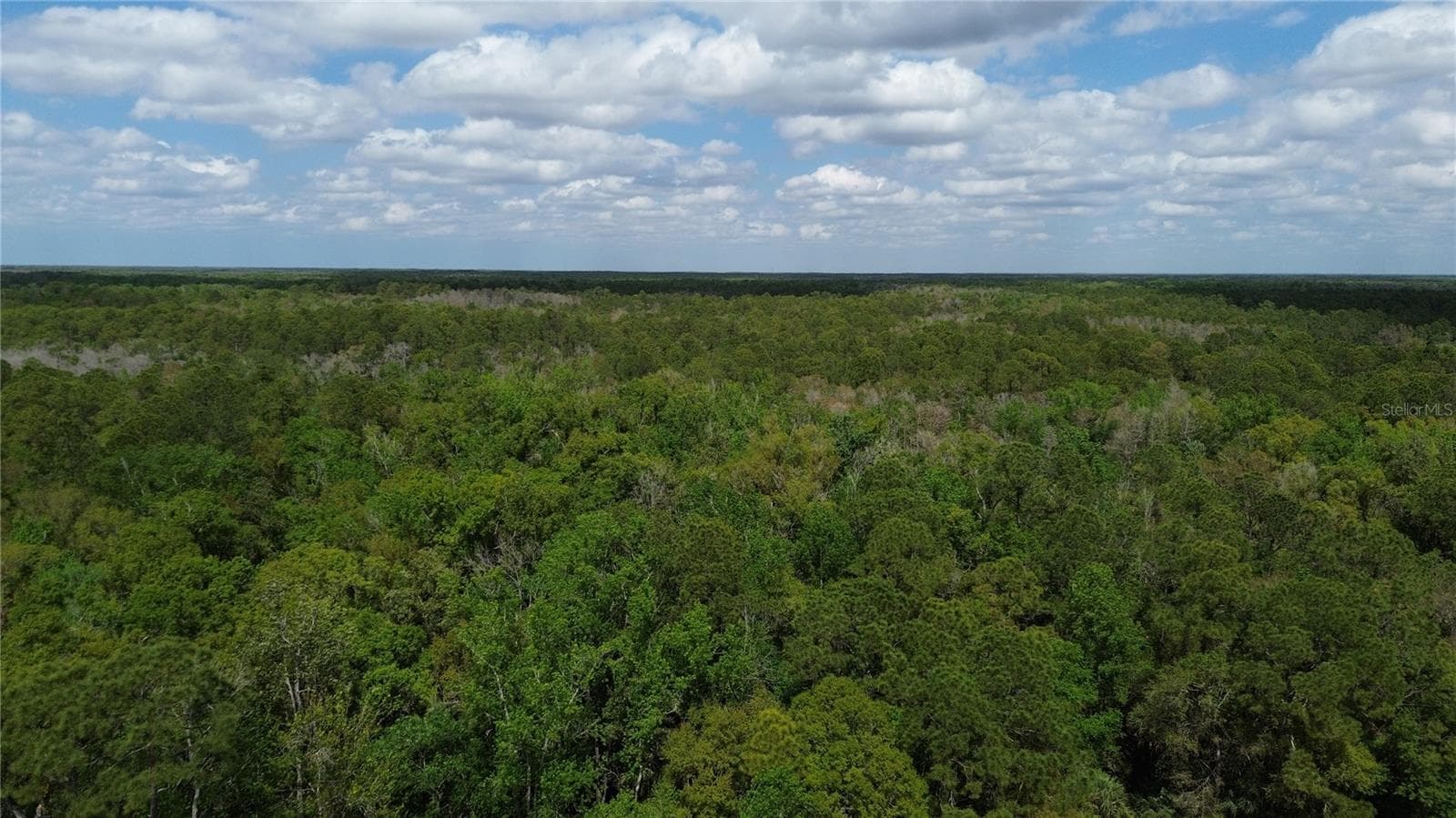 Land at UNASSIGNED, WESLEY CHAPEL, photo 19 of 28