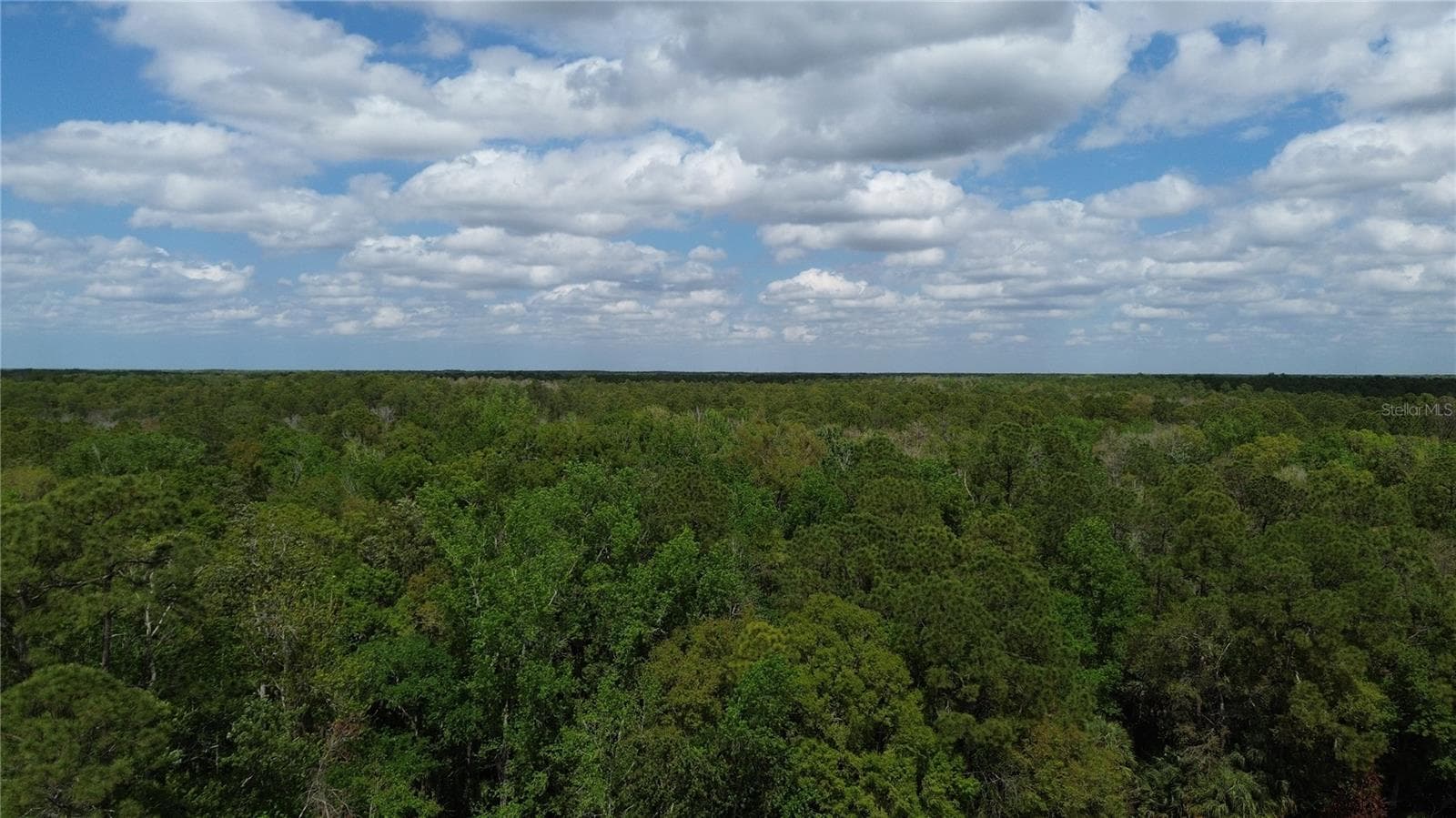 Land at UNASSIGNED, WESLEY CHAPEL, photo 21 of 28