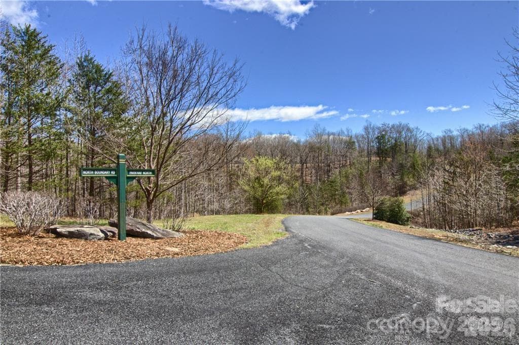 Acreage at Mill Spring, photo 3 of 27