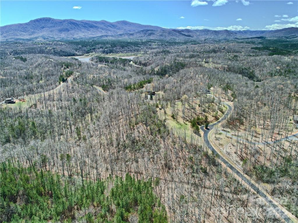 Acreage at Mill Spring, photo 7 of 27