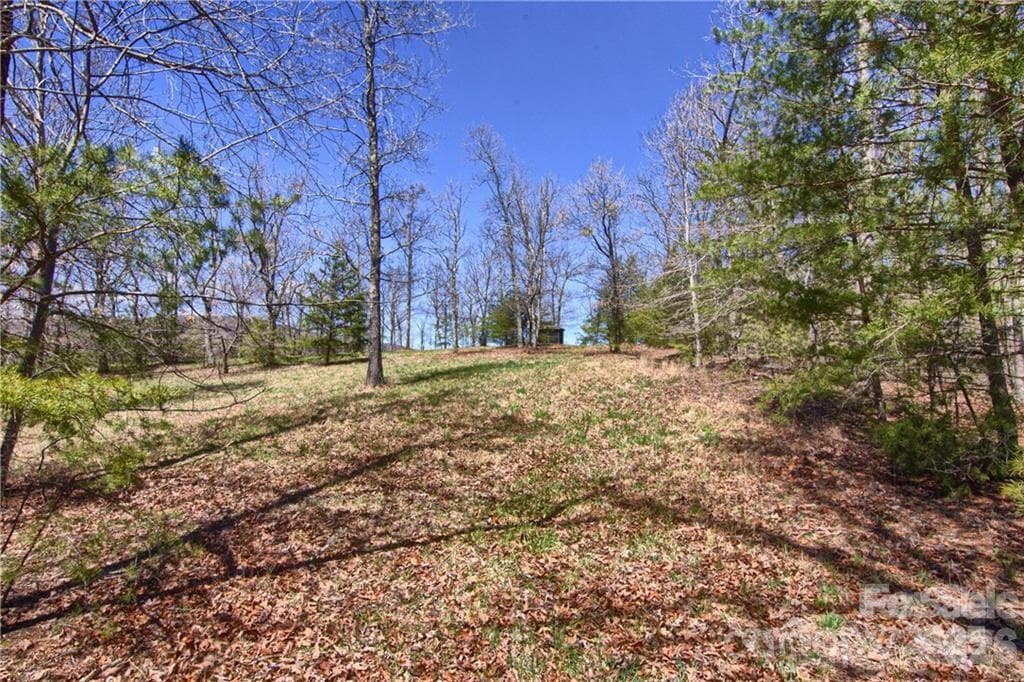 Acreage at Mill Spring, photo 15 of 27