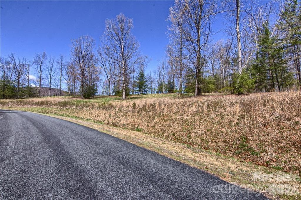 Acreage at Mill Spring, photo 17 of 27