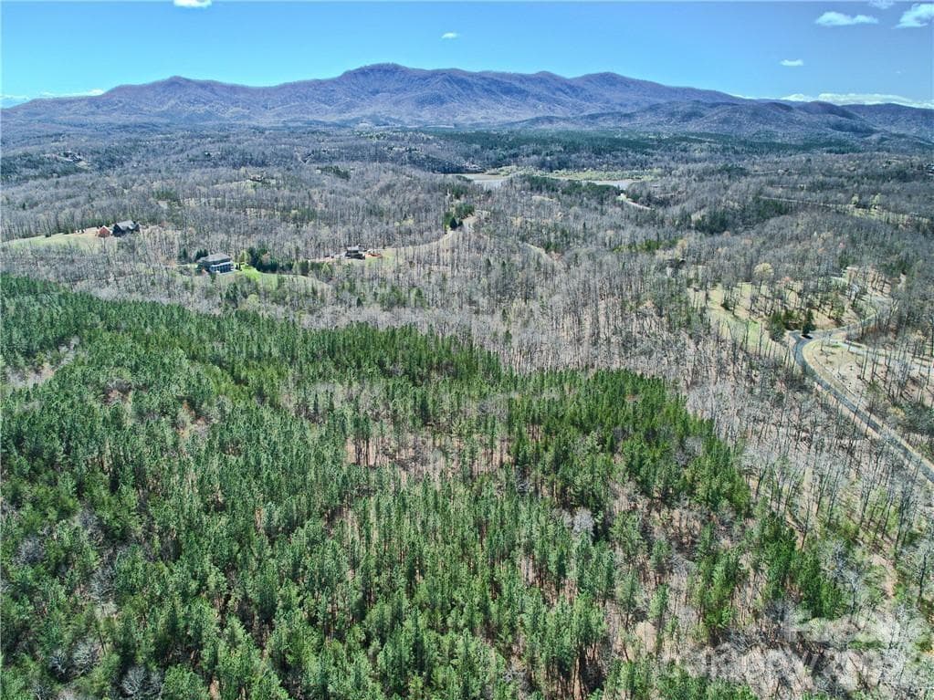 Acreage at Mill Spring, photo 25 of 27