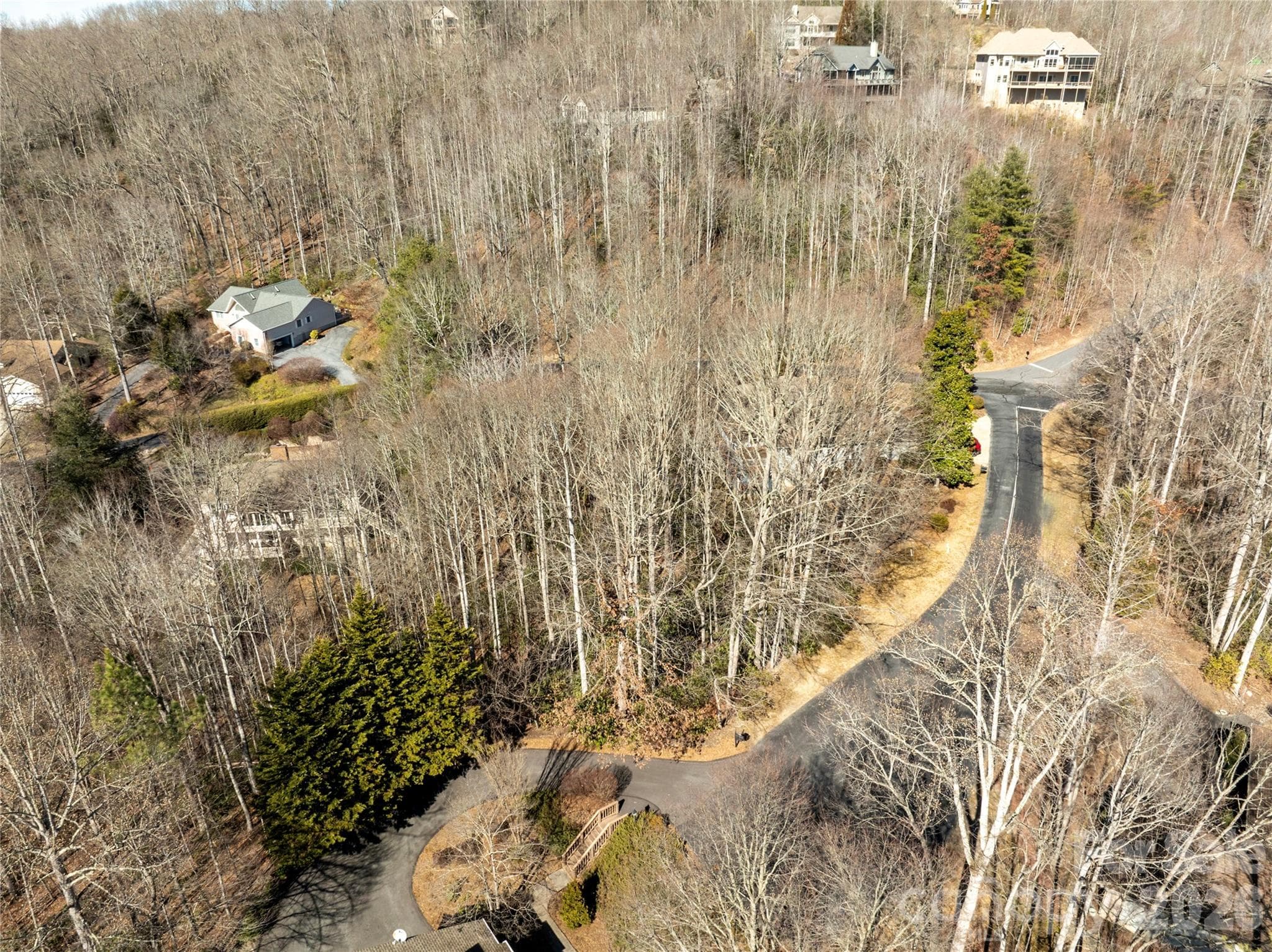 Lot at Hendersonville, photo 3 of 25
