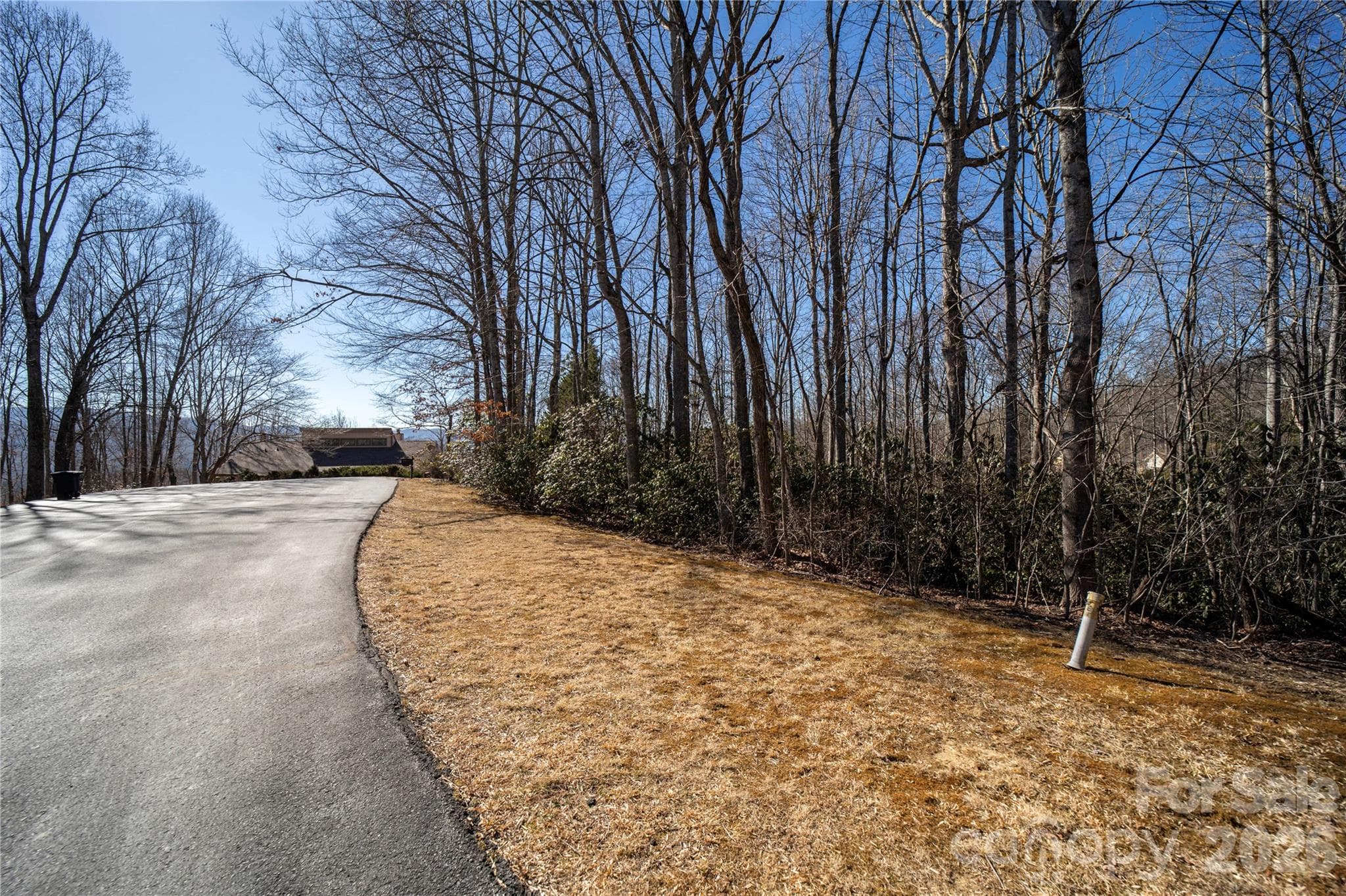 Lot at Hendersonville, photo 8 of 25