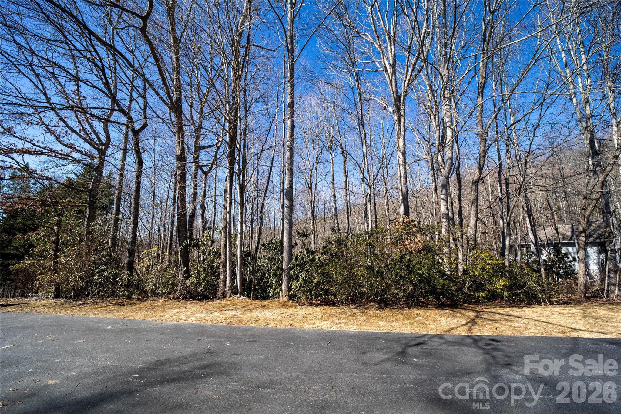 Lot at Hendersonville, photo 9 of 25