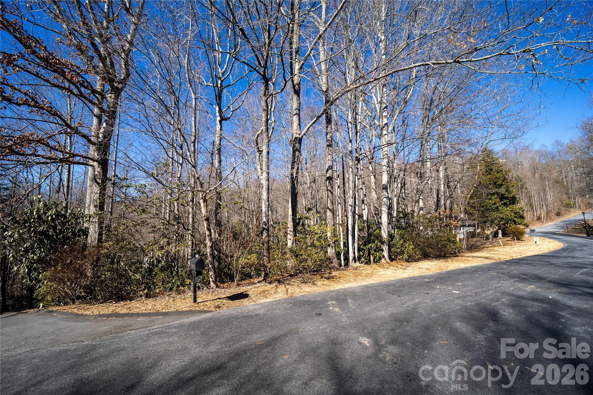 Lot at Hendersonville, photo 10 of 25