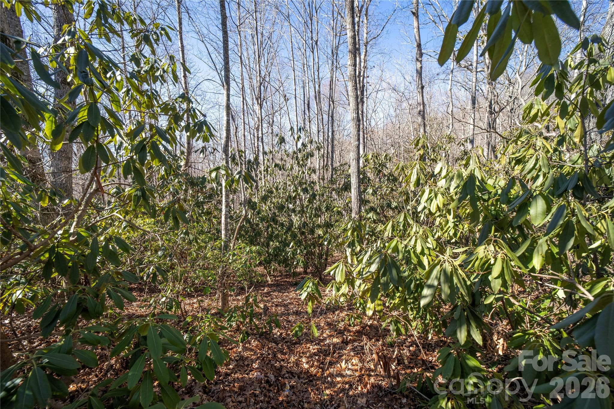 Lot at Hendersonville, photo 11 of 25