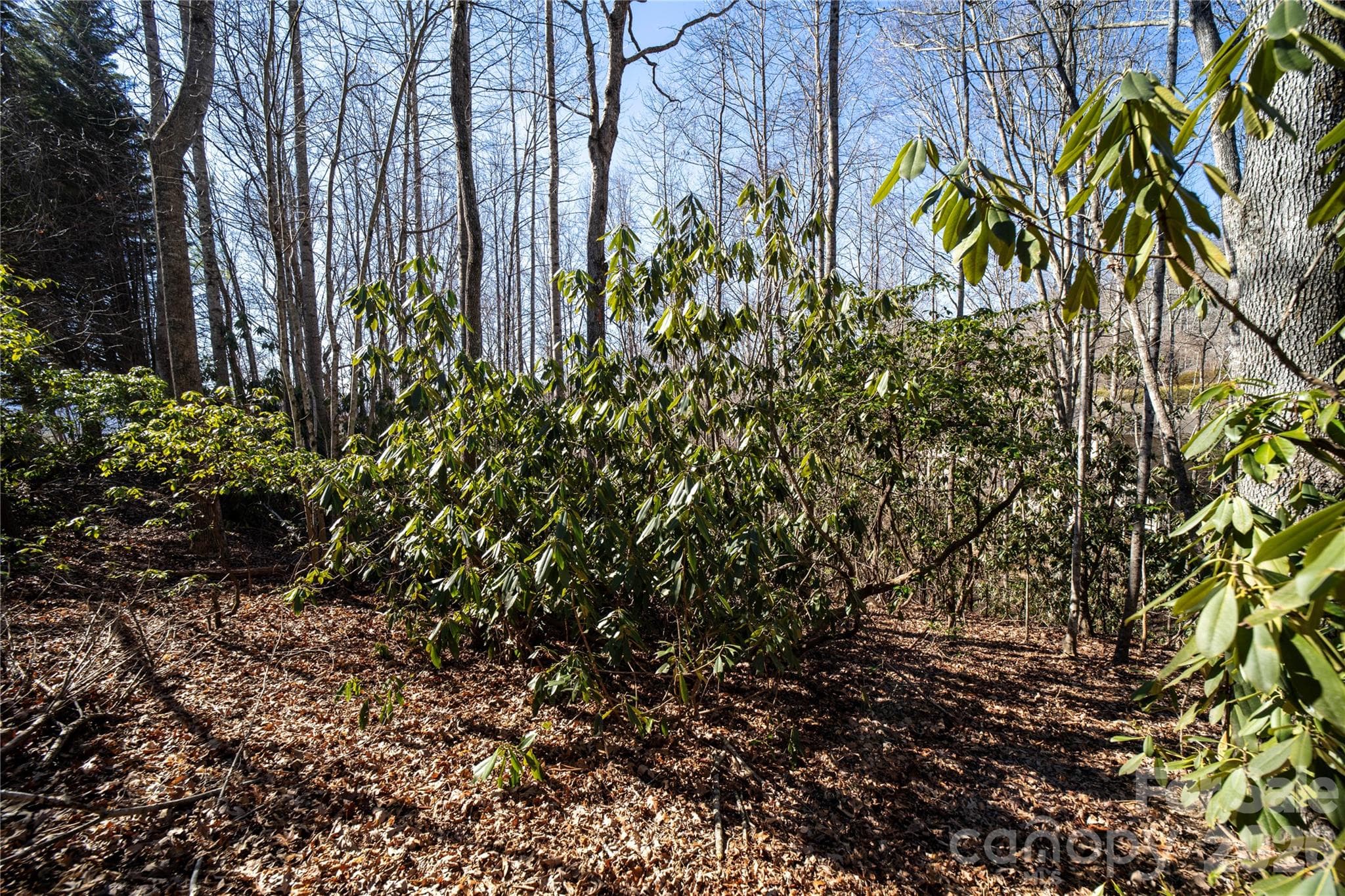 Lot at Hendersonville, photo 12 of 25