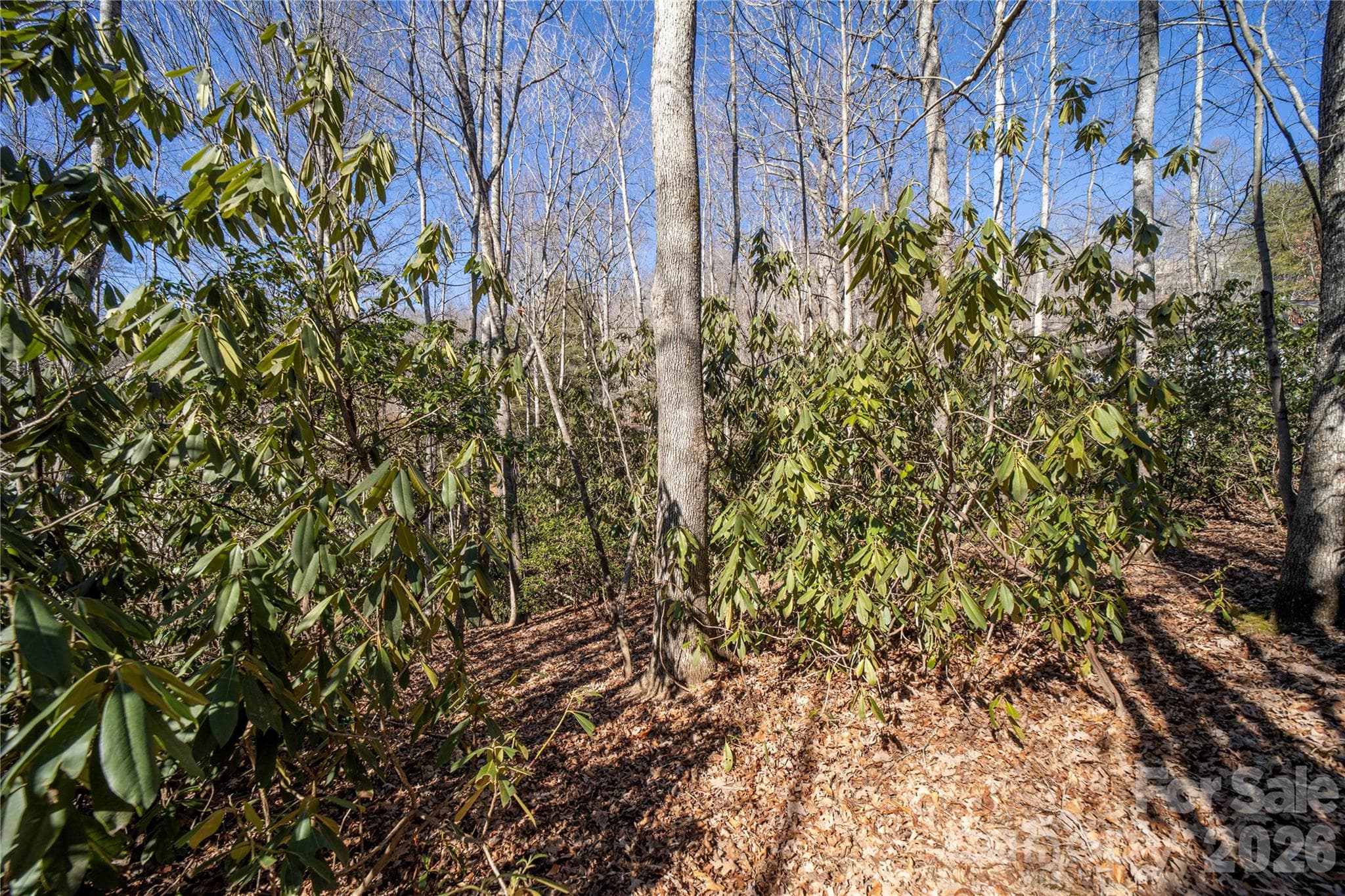 Lot at Hendersonville, photo 13 of 25