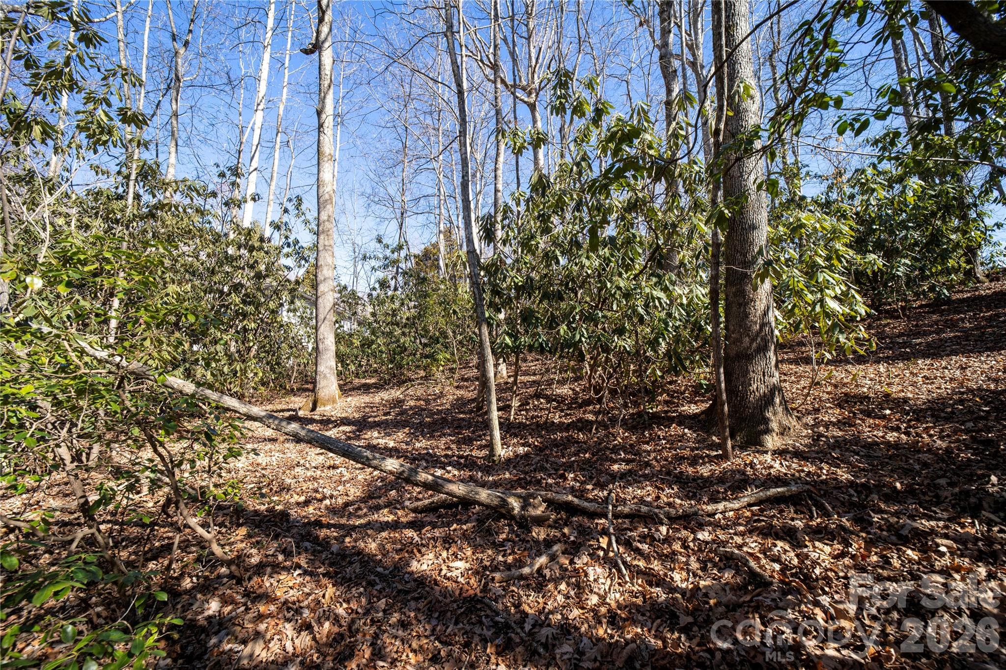 Lot at Hendersonville, photo 14 of 25
