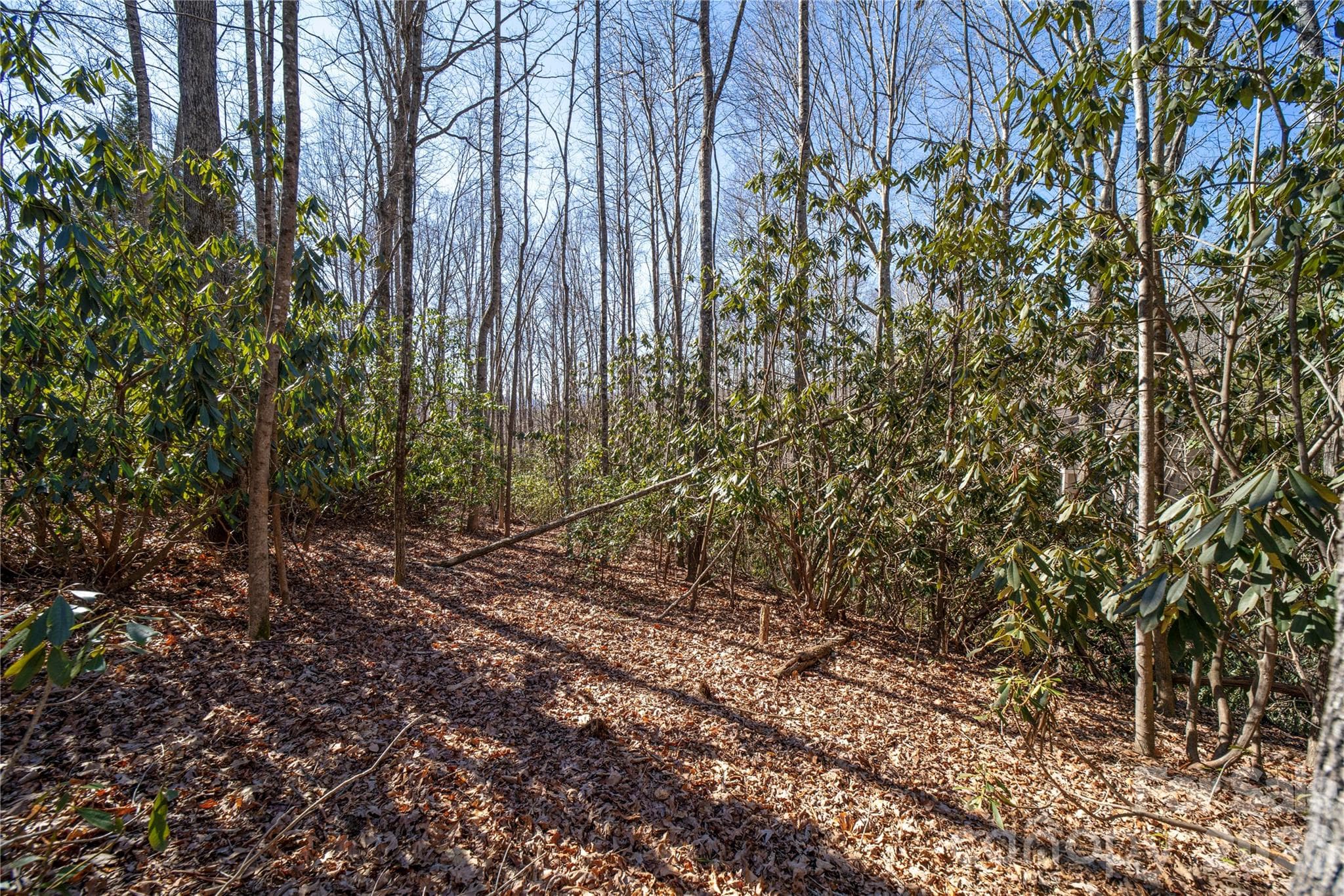 Lot at Hendersonville, photo 15 of 25