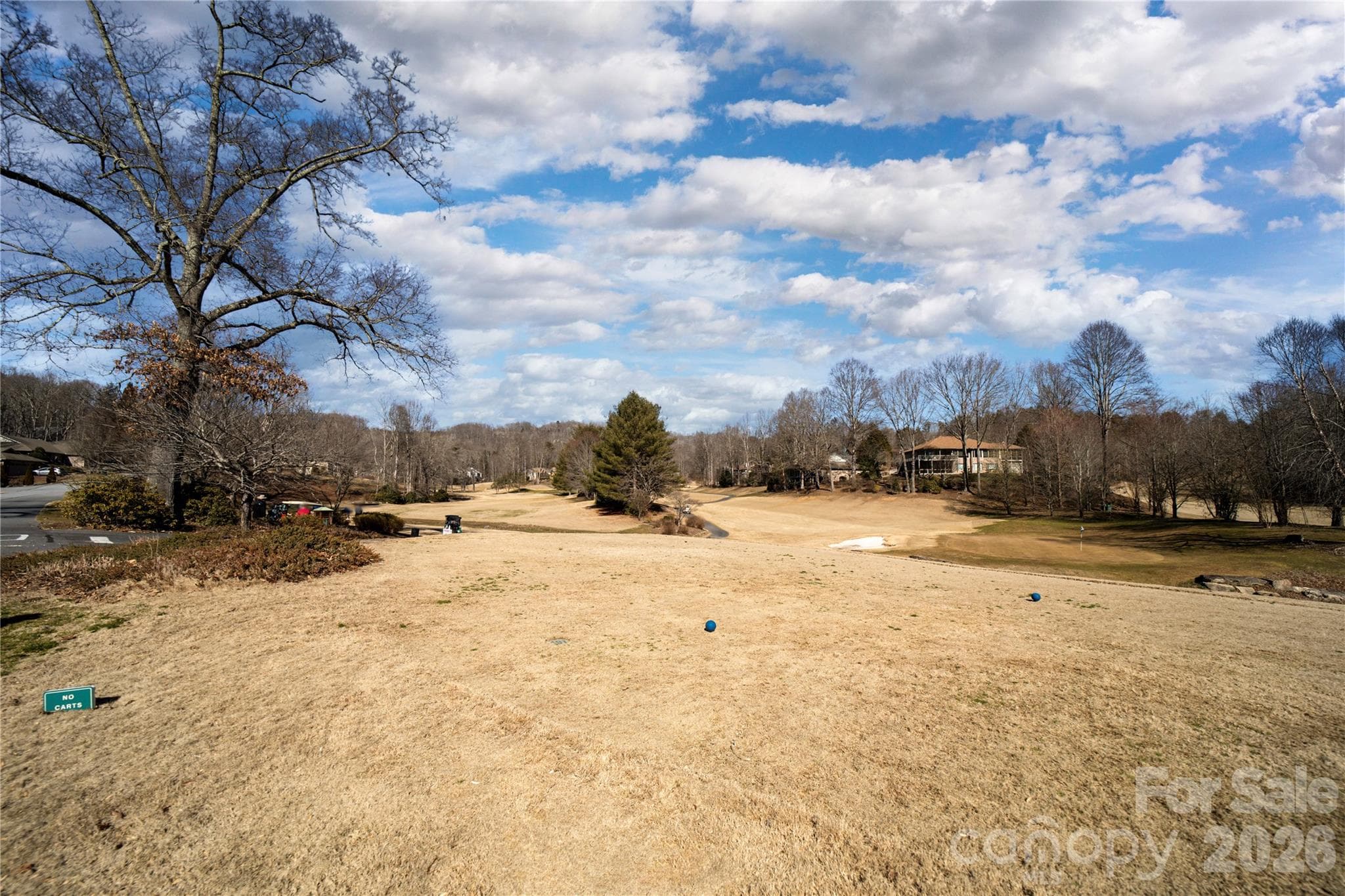 Golf course view - Hendersonville