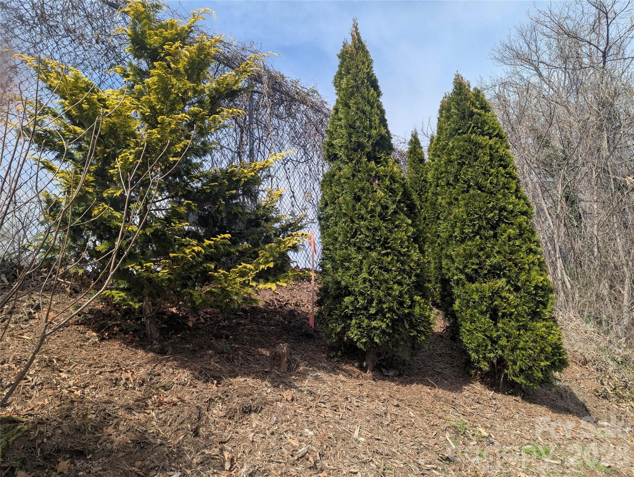 Lot at 39 Jefferson Drive, Asheville, photo 6 of 7