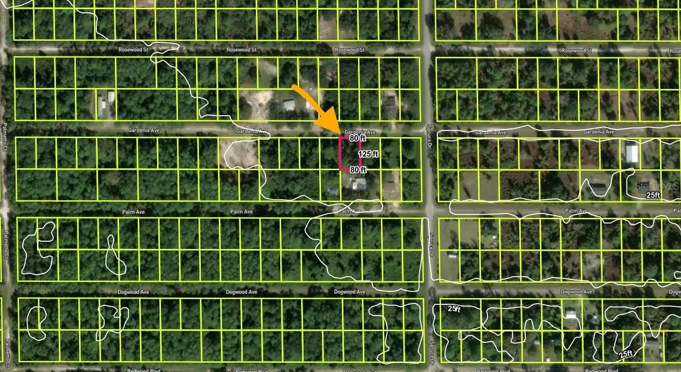Land at 433 GARDENIA AVE, GEORGETOWN, photo 2 of 22