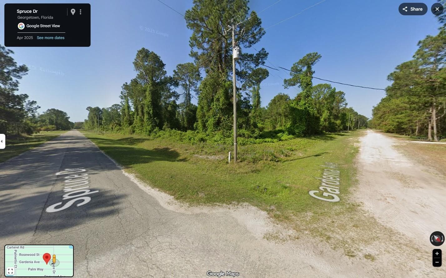 Land at 433 GARDENIA AVE, GEORGETOWN, photo 7 of 22