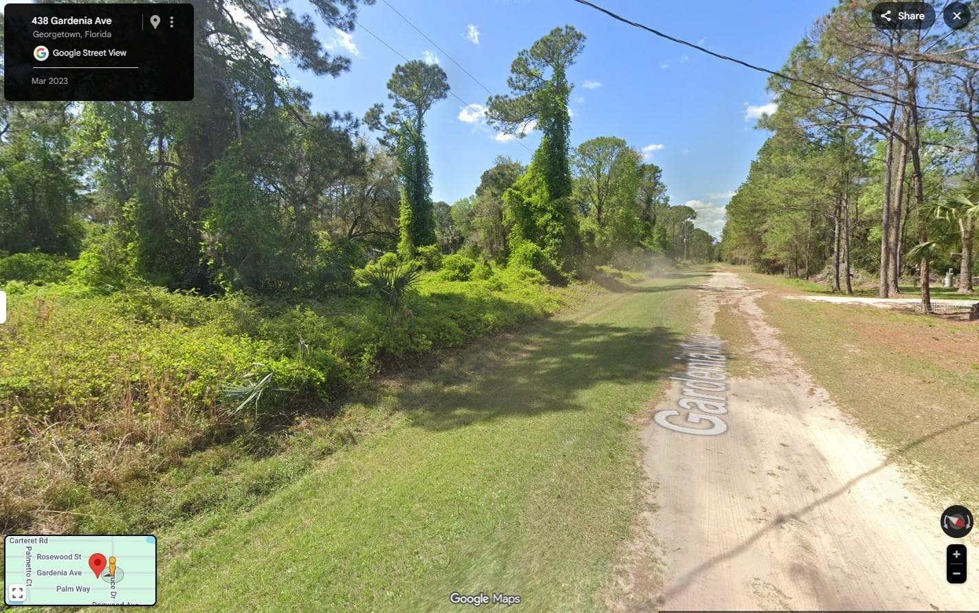 Land at 433 GARDENIA AVE, GEORGETOWN, photo 9 of 22
