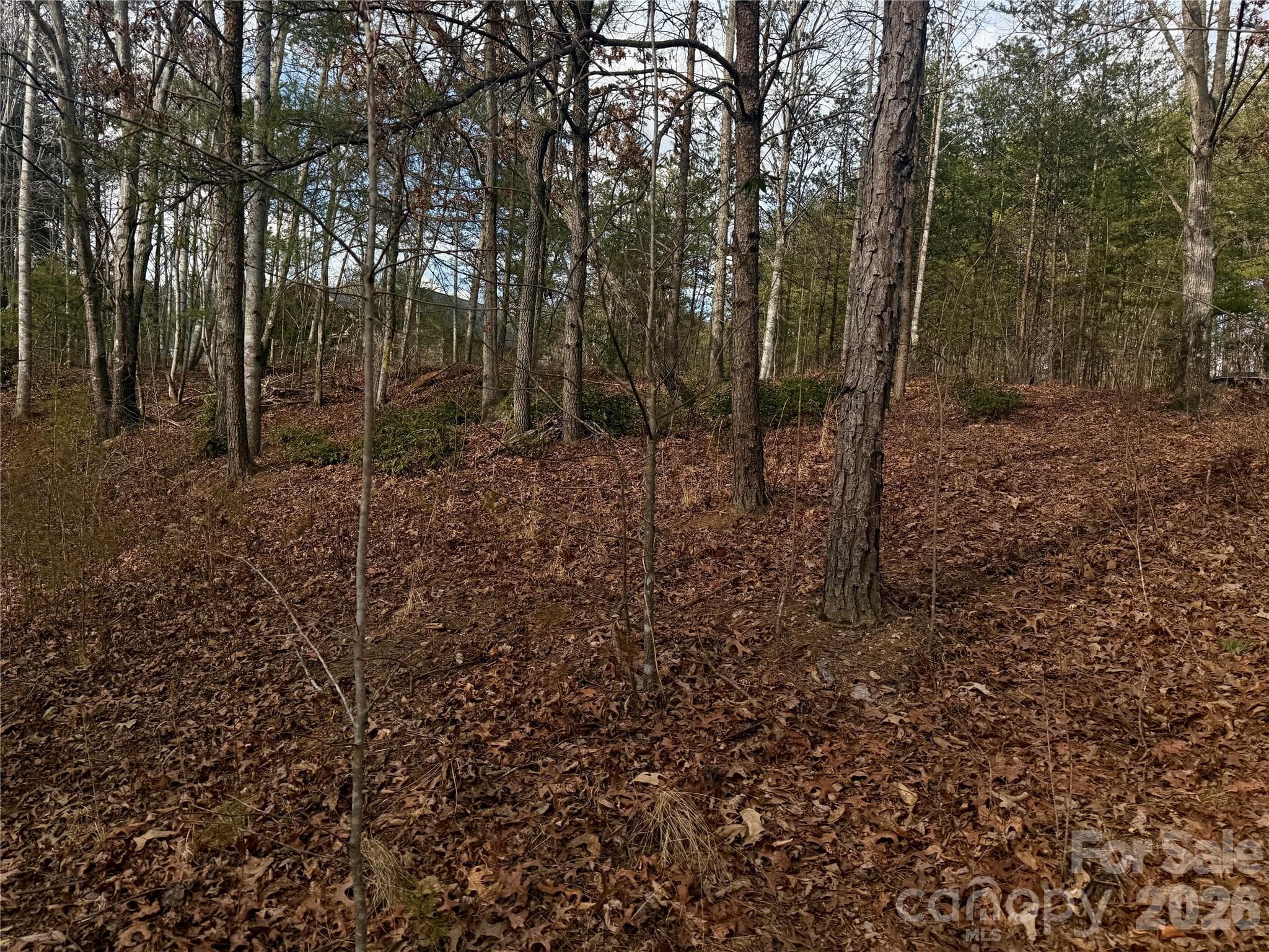 Lot at Lenoir, photo 11 of 40