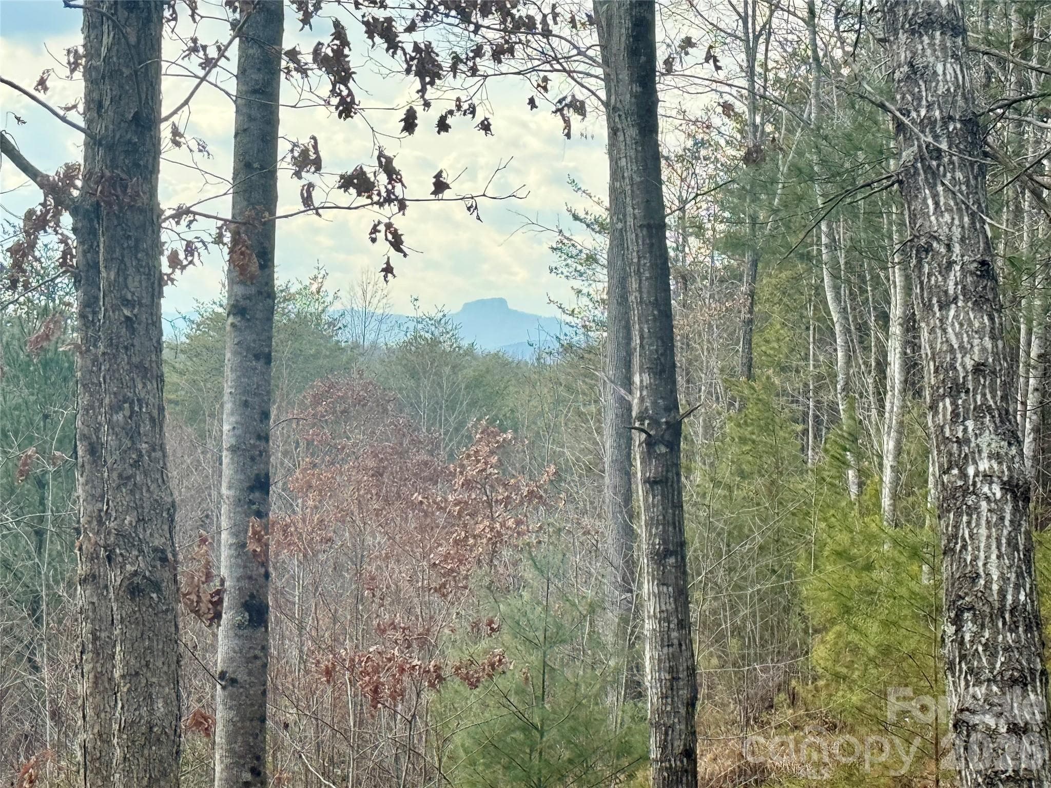 Lot at Lenoir, photo 13 of 40