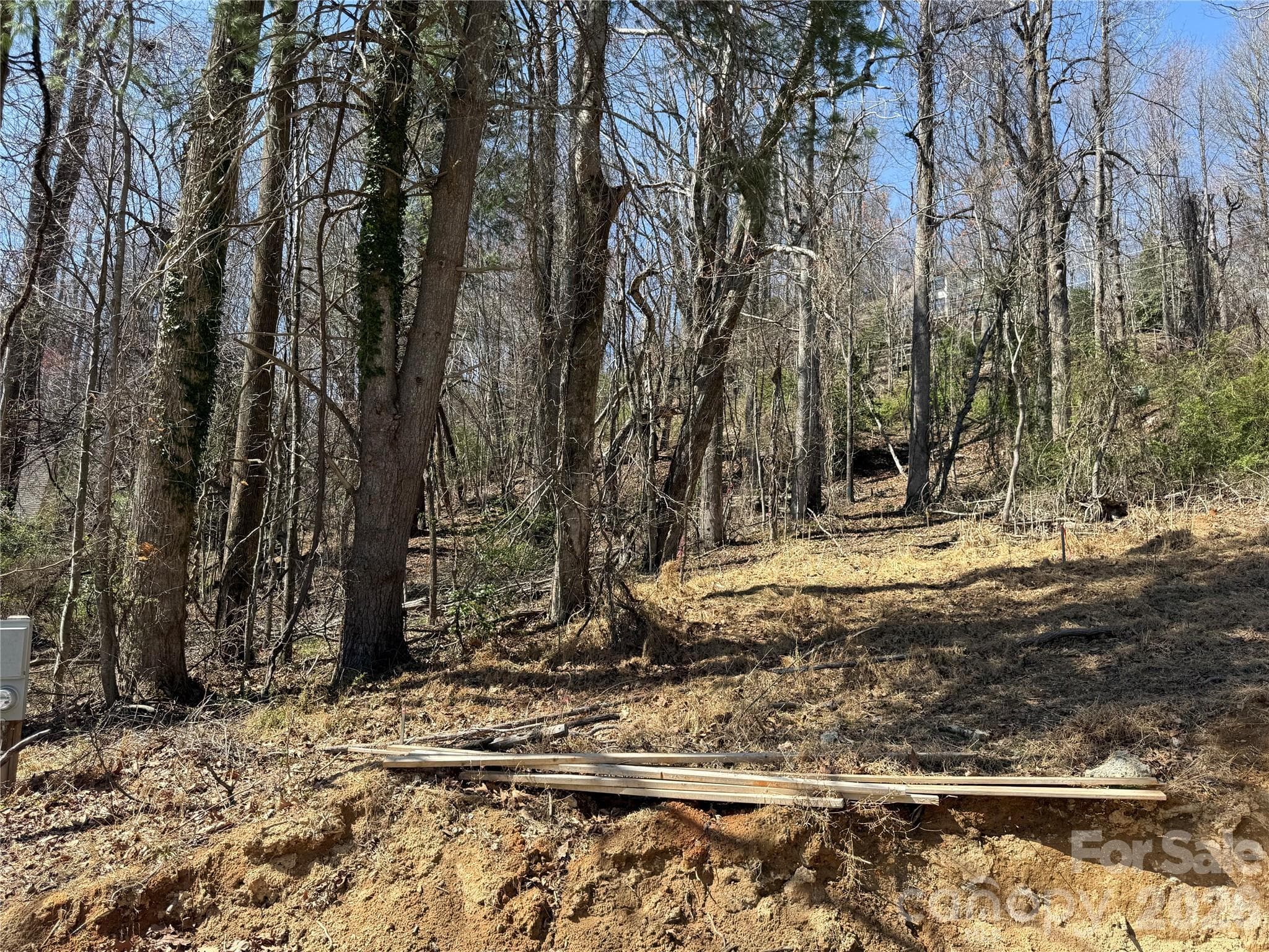 Lot at 3 Fawn Turn Lane, Hendersonville, photo 15 of 18