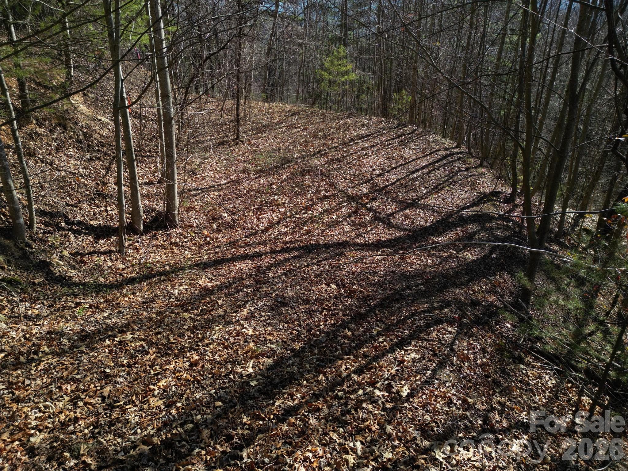 Lot at 1165 Scenic Circle, Waynesville, photo 2 of 26