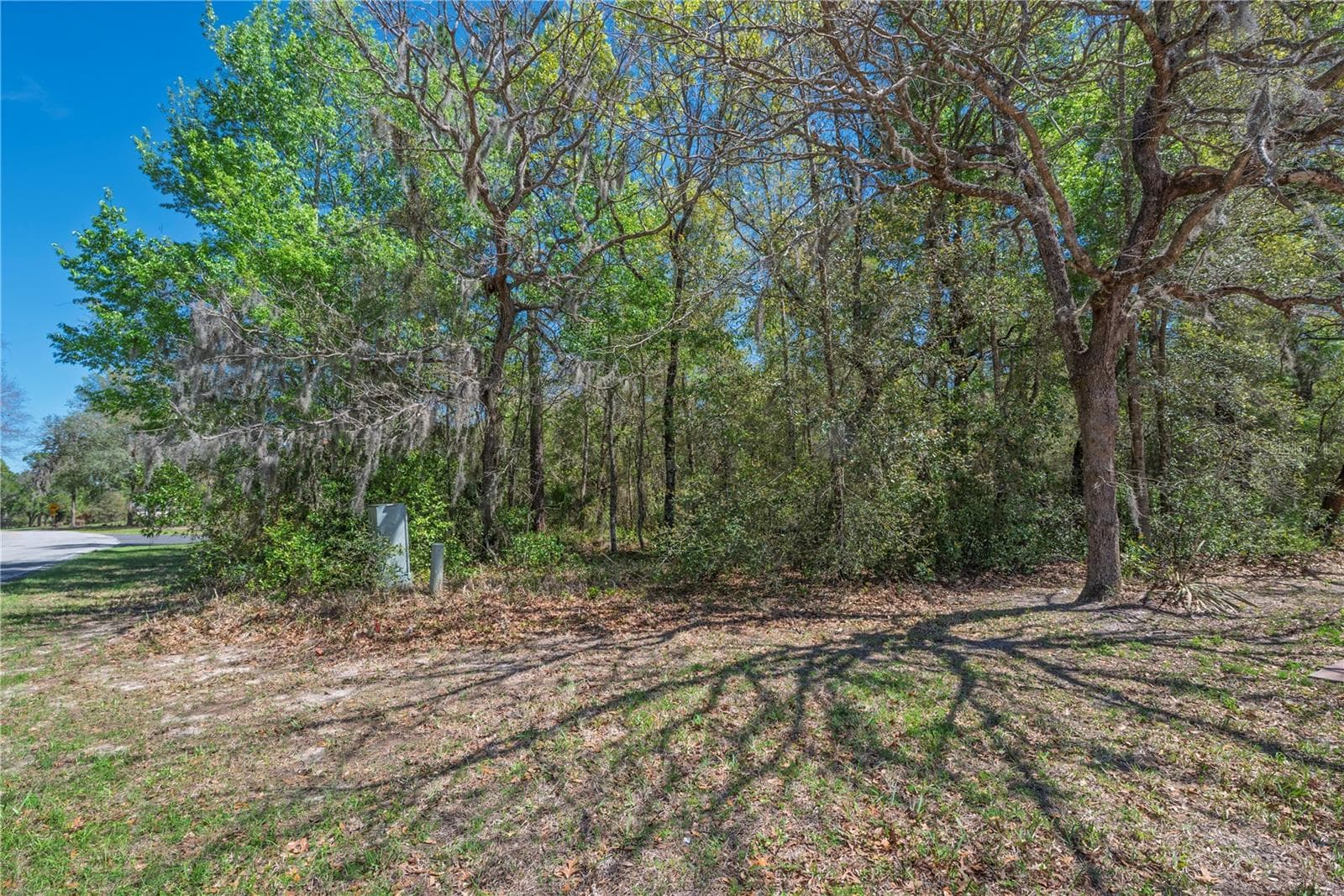 Land at 1 PINE ST, HOMOSASSA, photo 10 of 15