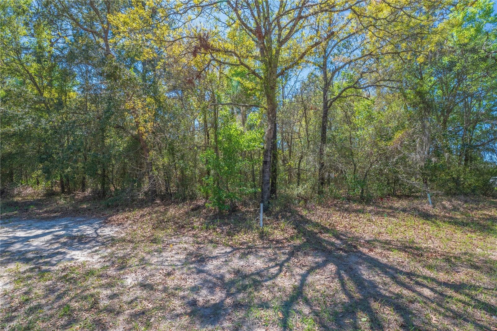Land at 1 PINE ST, HOMOSASSA, photo 11 of 15