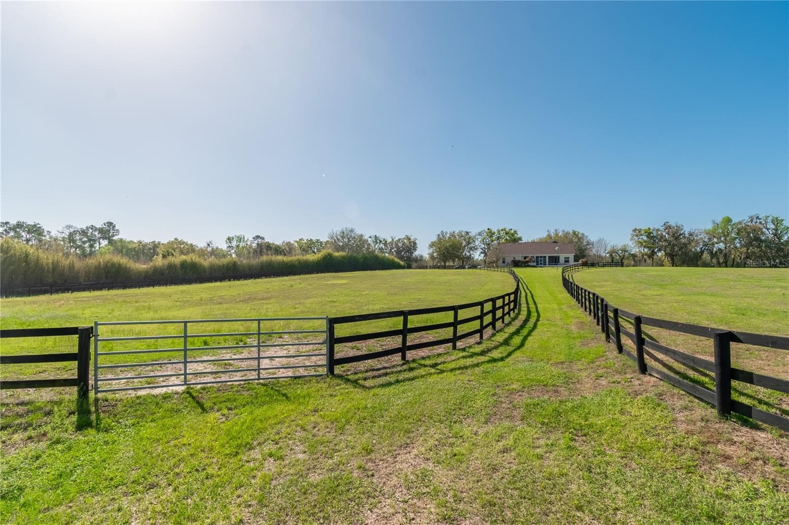 Farm at 8785 NW 63RD ST, OCALA, photo 80 of 91