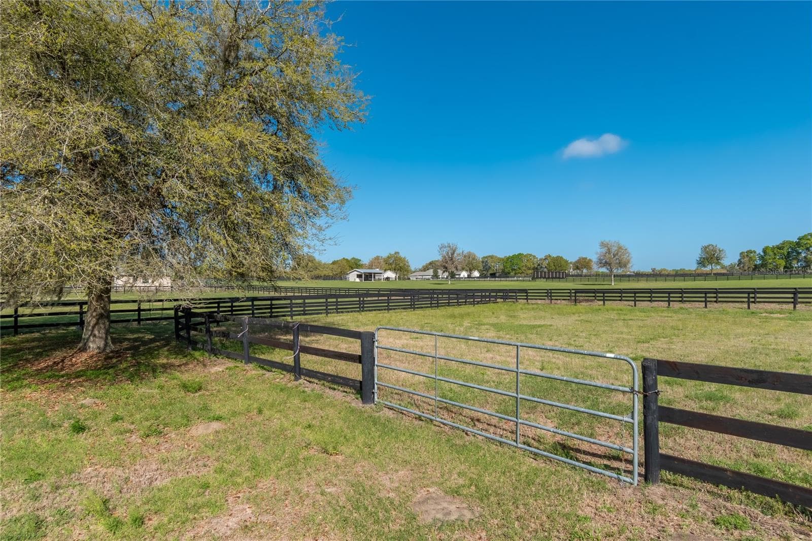 Farm at 8785 NW 63RD ST, OCALA, photo 84 of 91