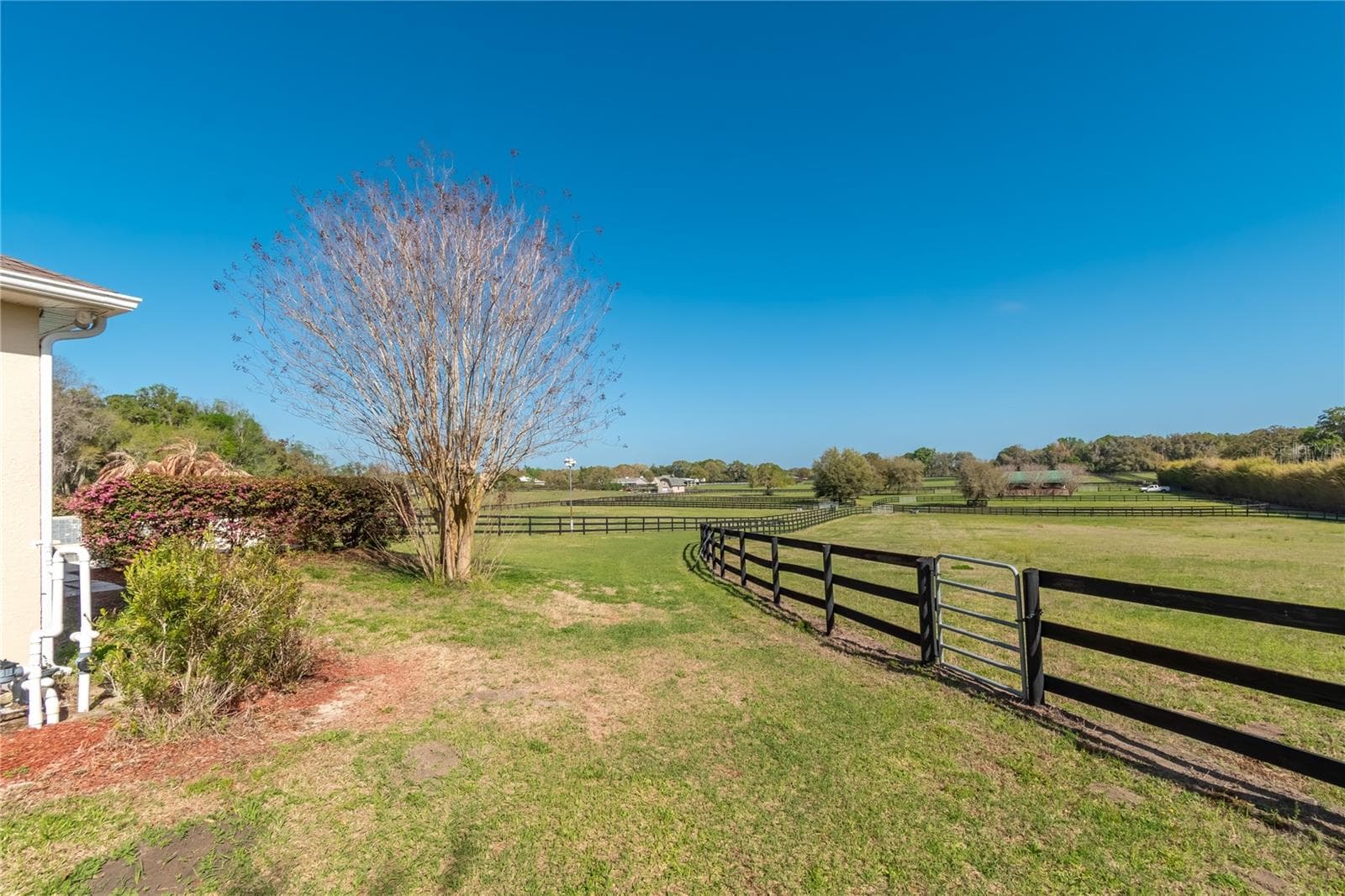 Farm at 8785 NW 63RD ST, OCALA, photo 87 of 91