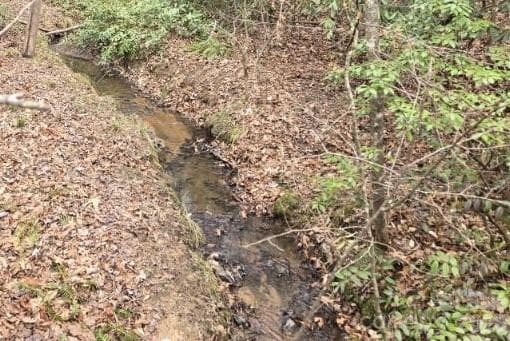 Small, pretty, spring fed creek comes in from under Shannons Walk and flows thru the property on its way to Upper Hickory Nut Lake below, just a bit down the mountain. Seen here from Shannons Walk on the edge of the lot. - Lake Lure