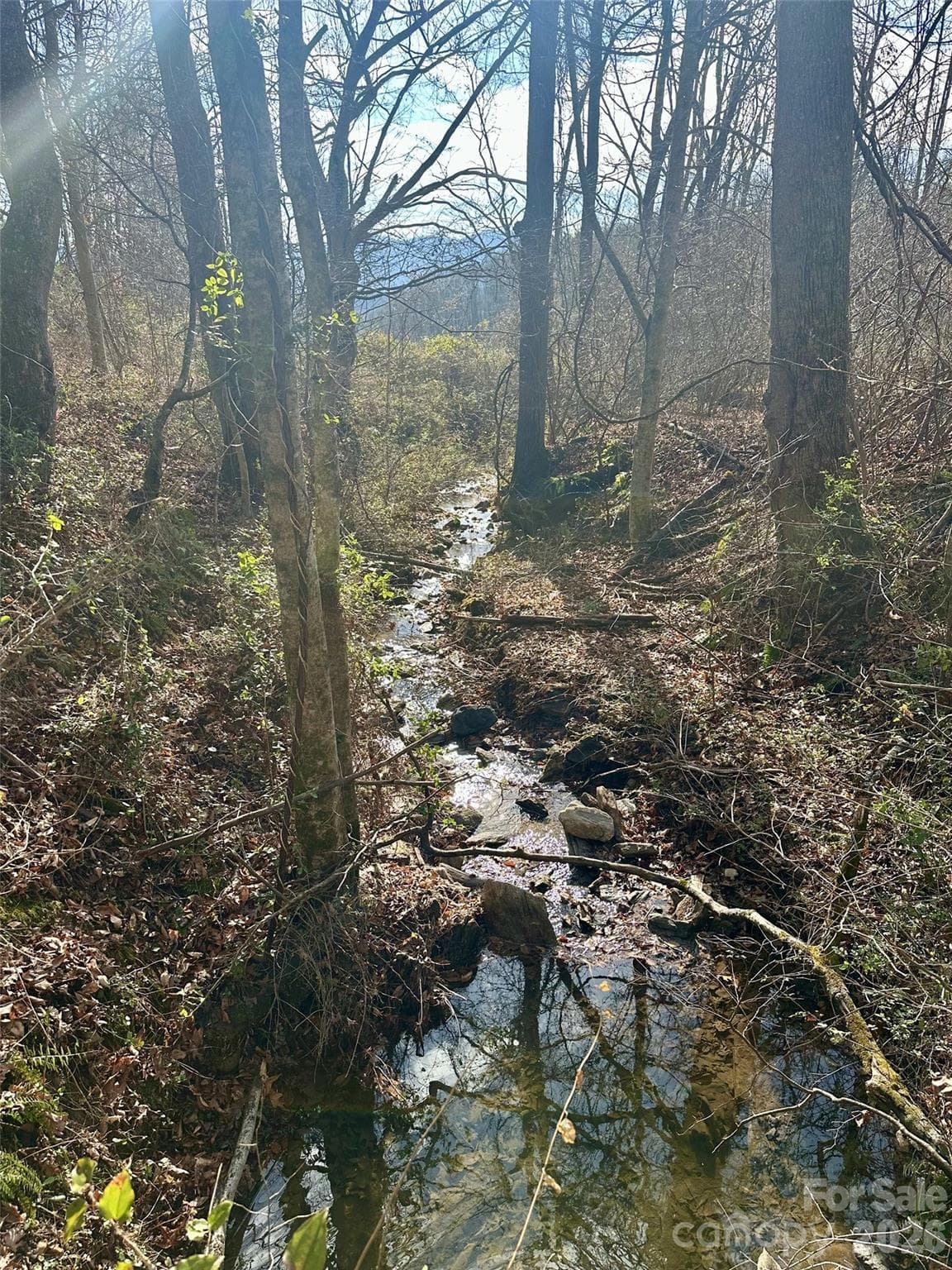 creek runs along side of upper portion and through lower portion of 33 acres - Waynesville