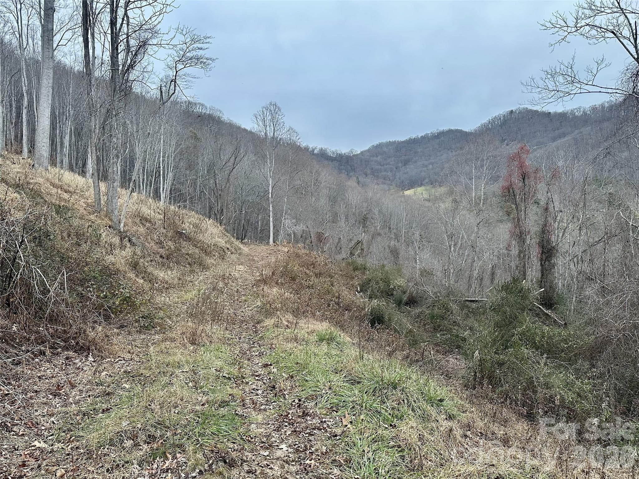 Acreage at Waynesville, photo 14 of 17