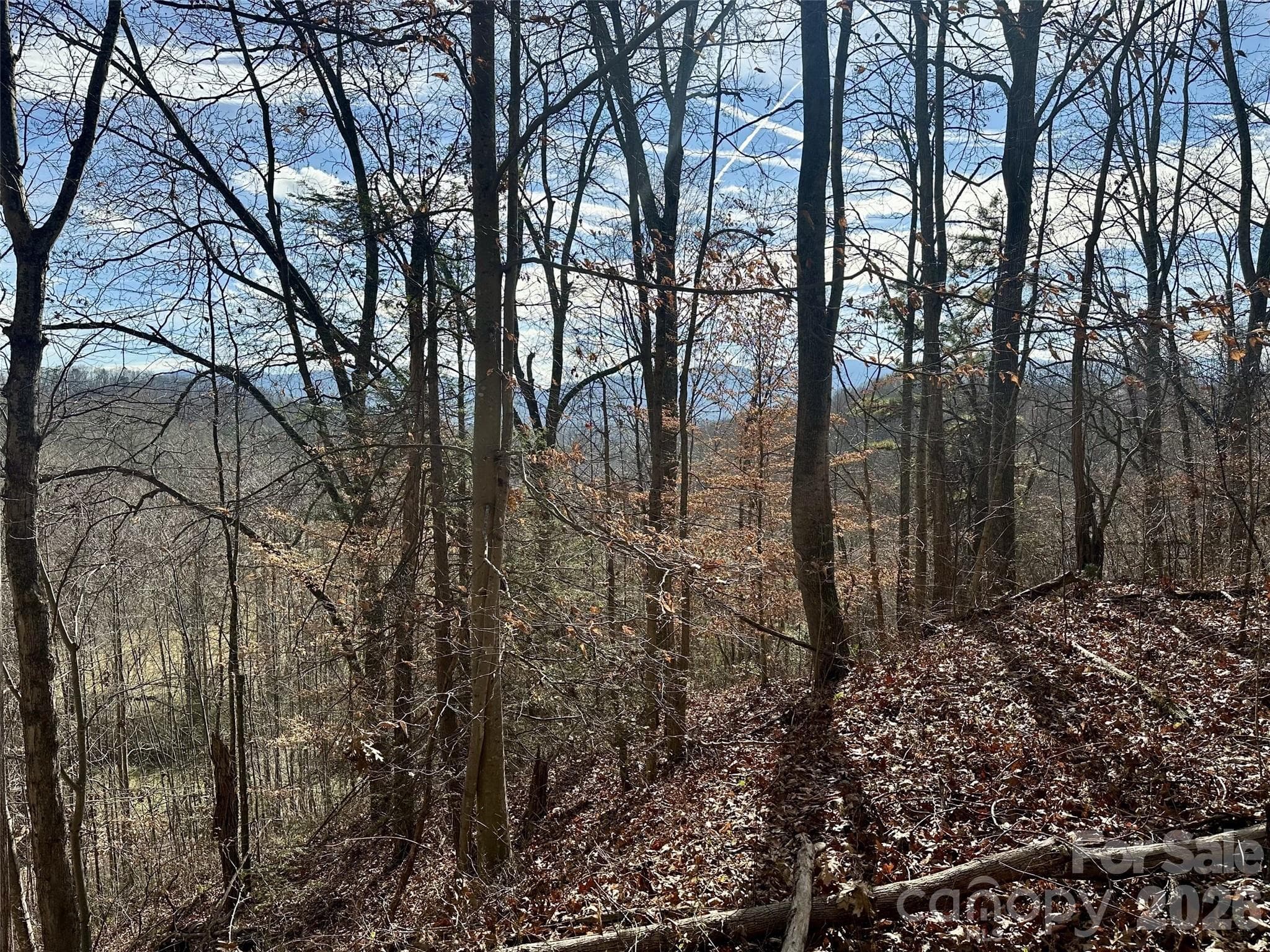 Acreage at Waynesville, photo 16 of 17