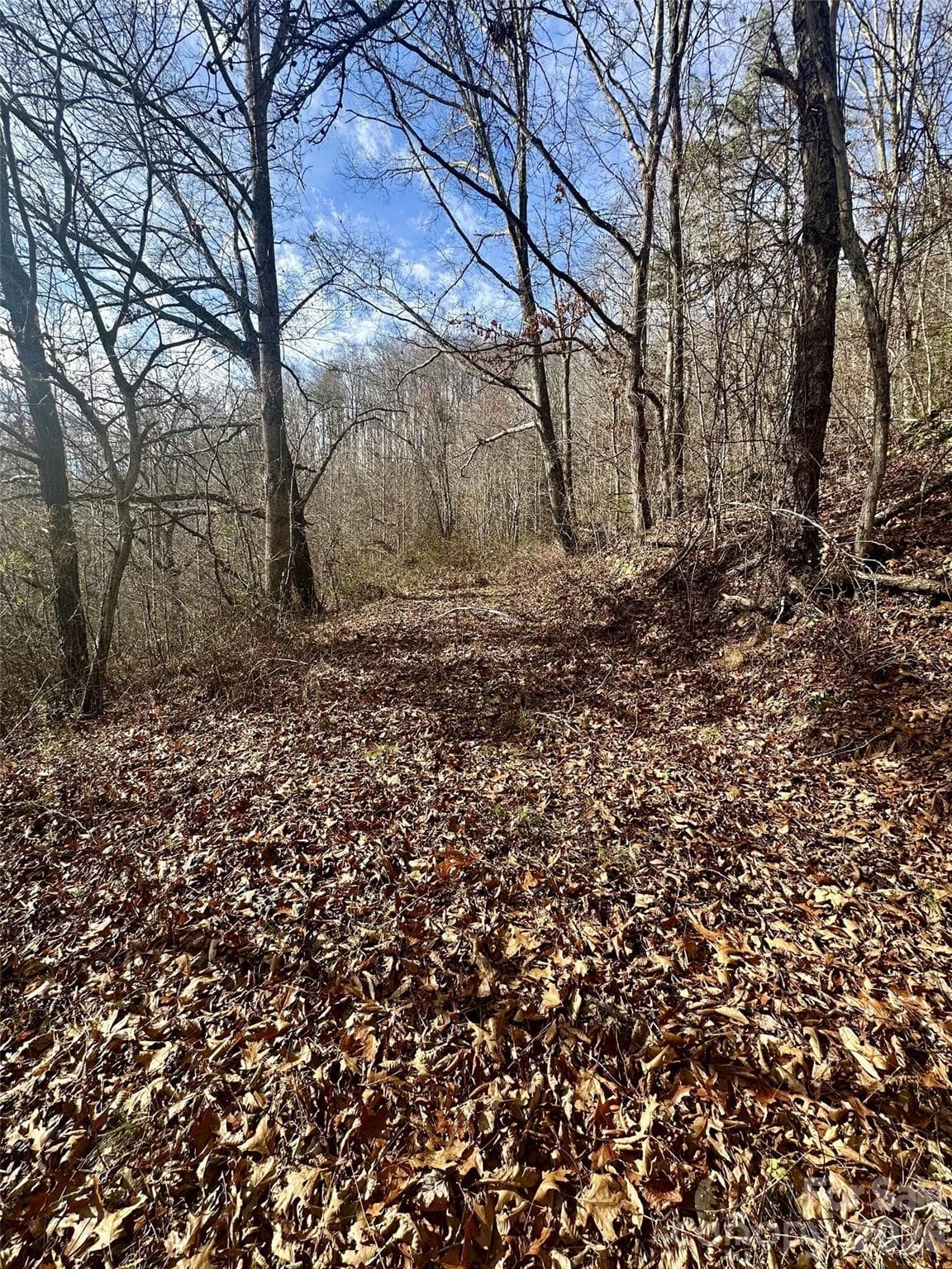wonderful privacy lends itself to an idyllic estate setting - Waynesville