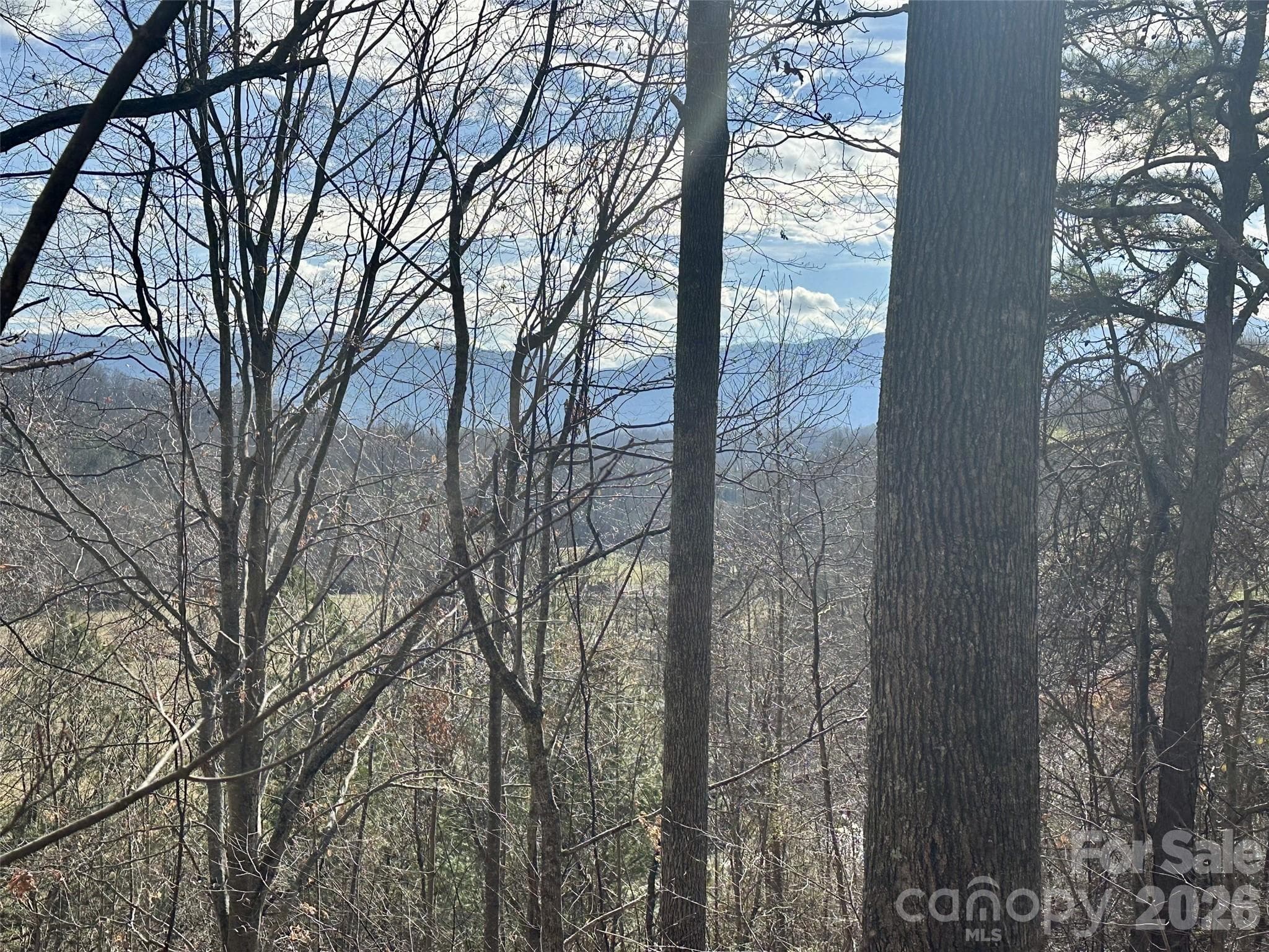 amazing view potential - Waynesville