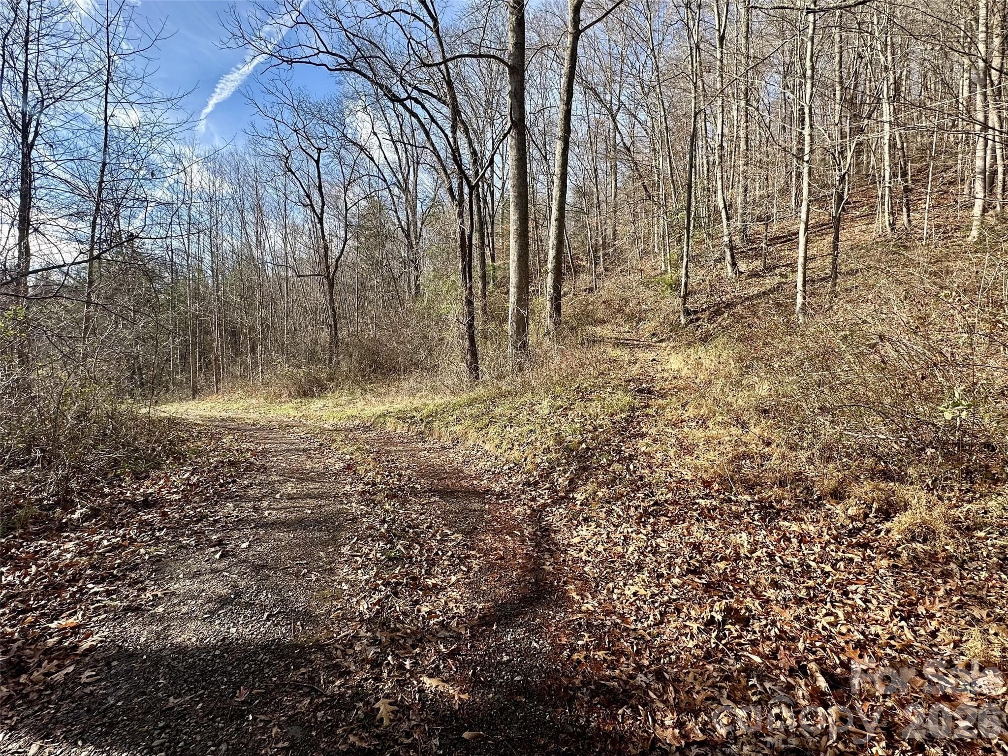 wide potential driveways in place - Waynesville