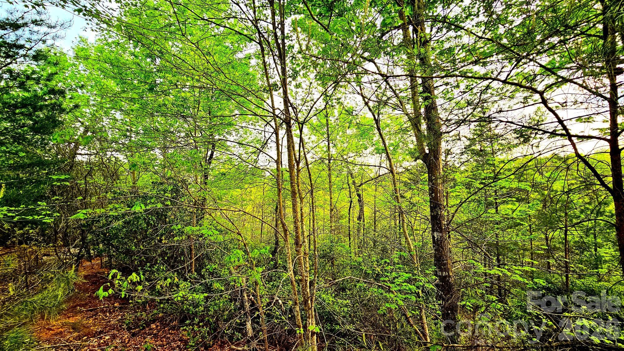 Lot at Lot 59 Bear Cliff Way, Lake Lure, photo 12 of 48